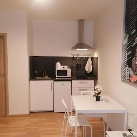 Studio Brand New Apartment #28 In New Building With Free Parking In City Center Prague Exterior photo